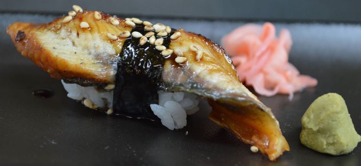 Anguila en lonchas Unagi - 8 gr